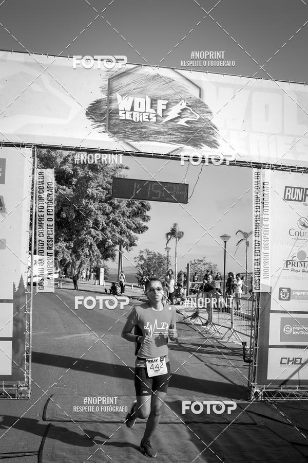 Buy your photos of the eventWolf Series - Botucatu on Fotop