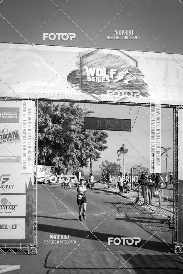 Buy your photos of the eventWolf Series - Botucatu on Fotop