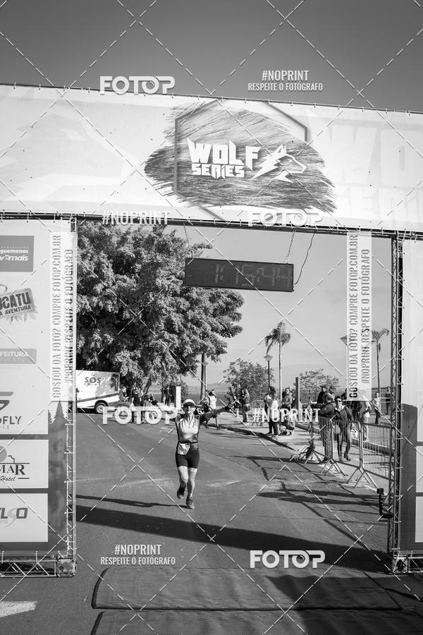 Buy your photos of the eventWolf Series - Botucatu on Fotop