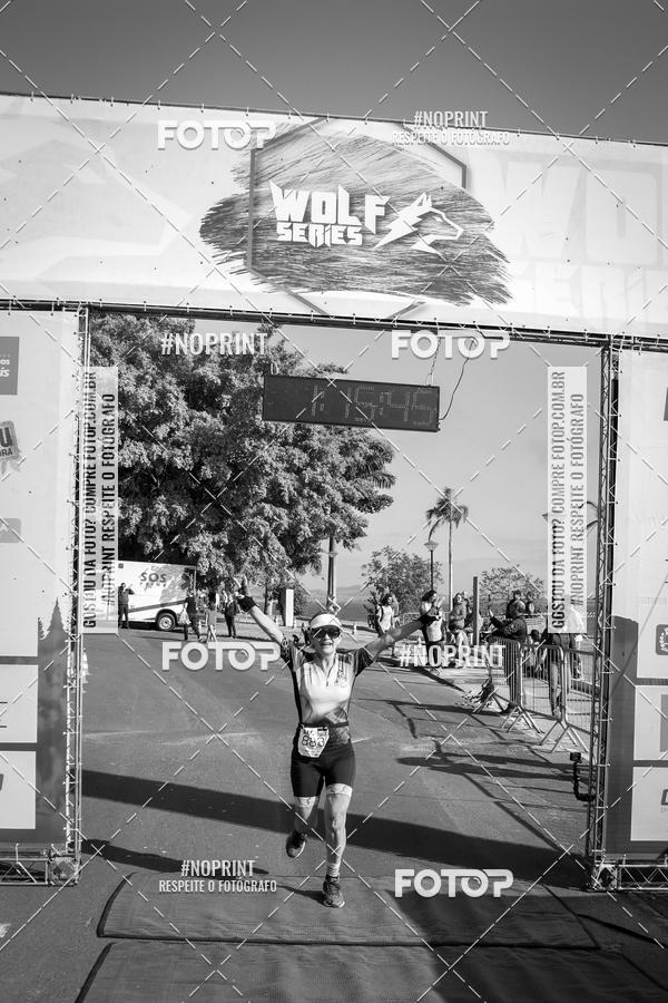 Buy your photos of the eventWolf Series - Botucatu on Fotop