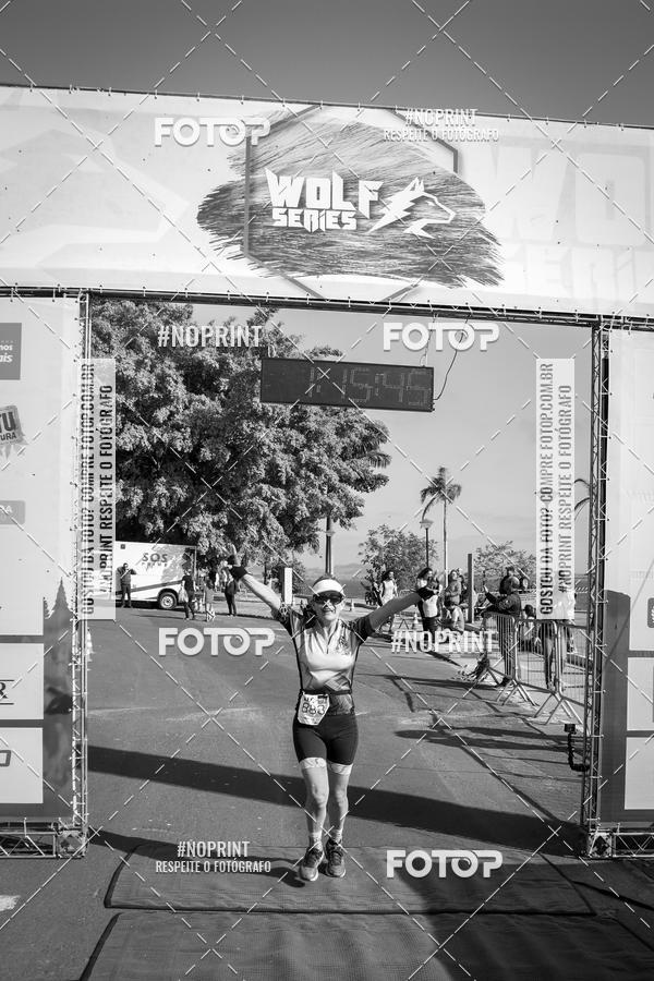 Buy your photos of the eventWolf Series - Botucatu on Fotop