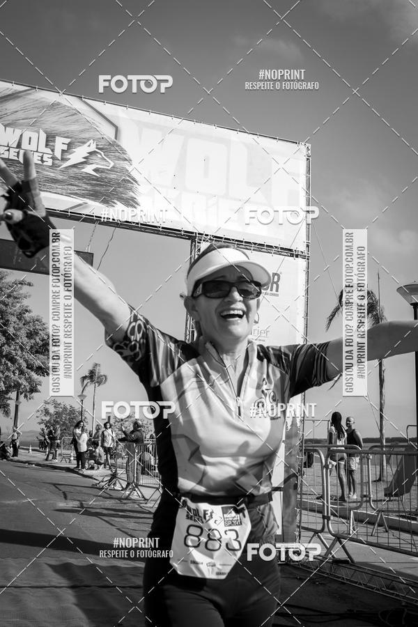 Buy your photos of the eventWolf Series - Botucatu on Fotop