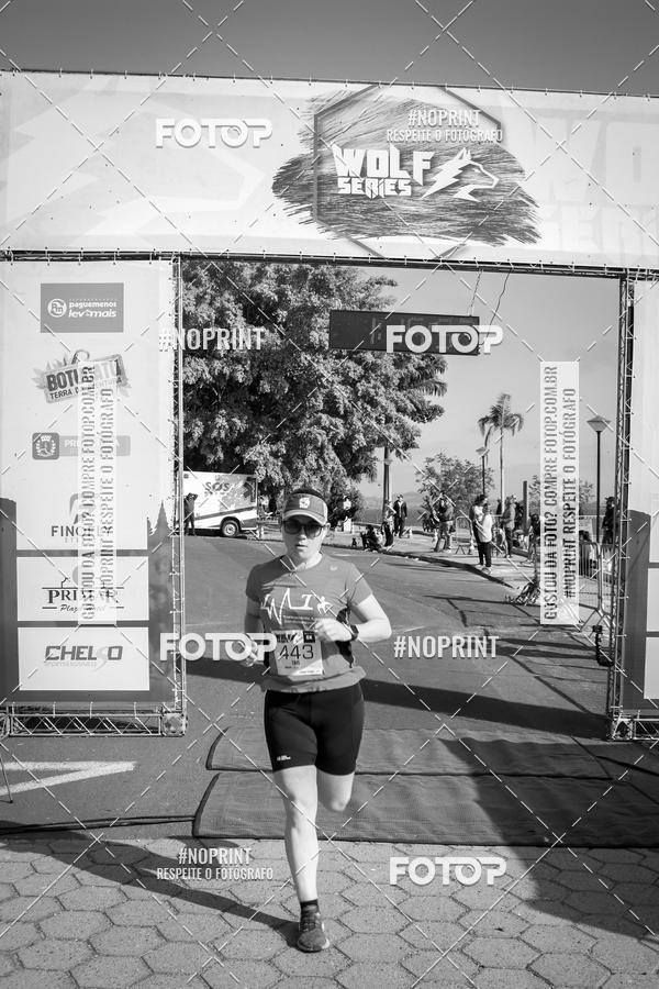 Buy your photos of the eventWolf Series - Botucatu on Fotop