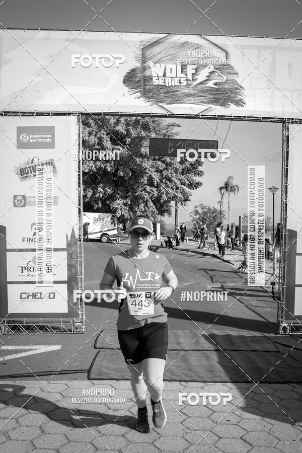 Buy your photos of the eventWolf Series - Botucatu on Fotop