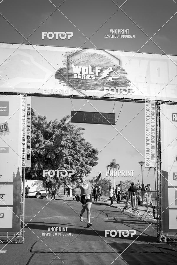 Buy your photos of the eventWolf Series - Botucatu on Fotop