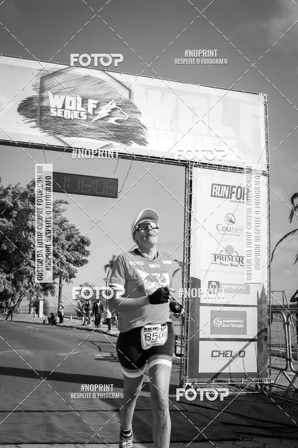 Buy your photos of the eventWolf Series - Botucatu on Fotop