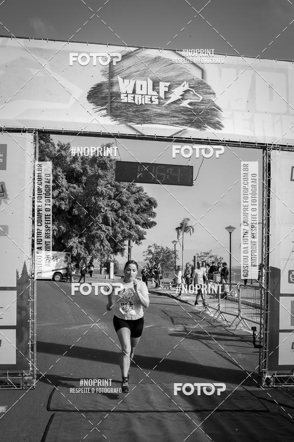 Buy your photos of the eventWolf Series - Botucatu on Fotop