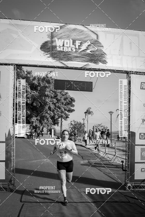 Buy your photos of the eventWolf Series - Botucatu on Fotop