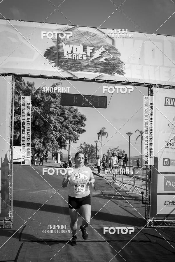 Buy your photos of the eventWolf Series - Botucatu on Fotop