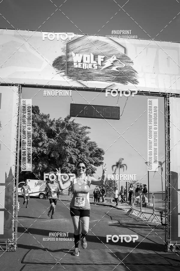 Buy your photos of the eventWolf Series - Botucatu on Fotop