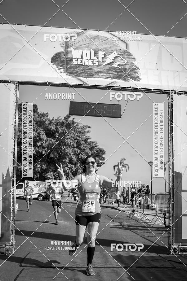 Buy your photos of the eventWolf Series - Botucatu on Fotop