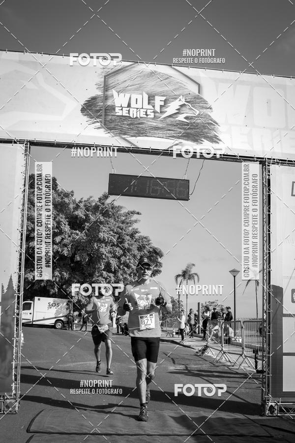 Buy your photos of the eventWolf Series - Botucatu on Fotop