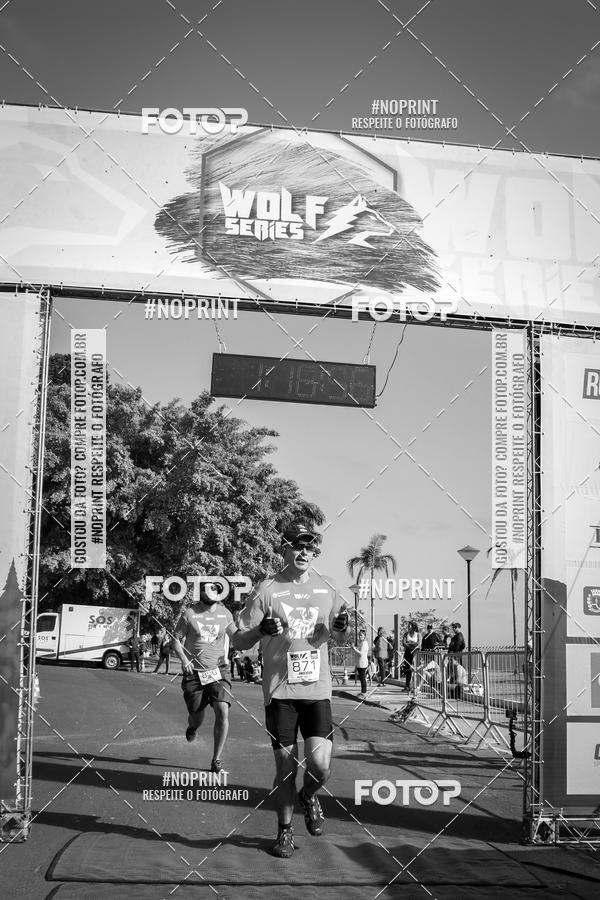 Buy your photos of the eventWolf Series - Botucatu on Fotop