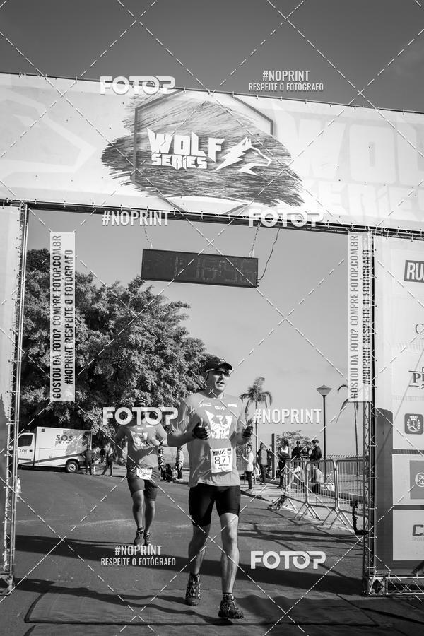 Buy your photos of the eventWolf Series - Botucatu on Fotop