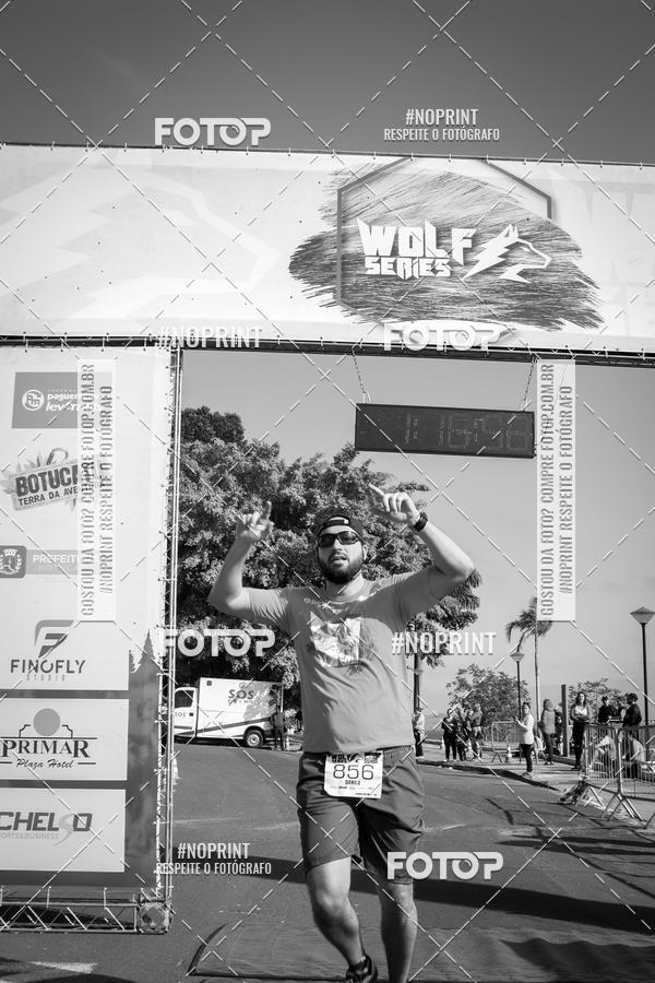 Buy your photos of the eventWolf Series - Botucatu on Fotop