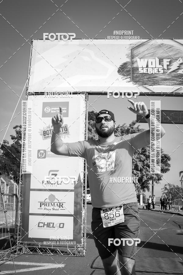 Buy your photos of the eventWolf Series - Botucatu on Fotop