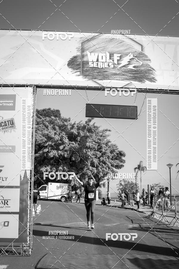 Buy your photos of the eventWolf Series - Botucatu on Fotop