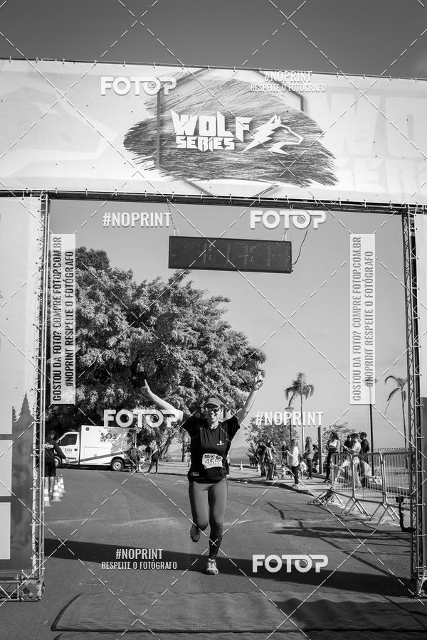 Buy your photos of the eventWolf Series - Botucatu on Fotop