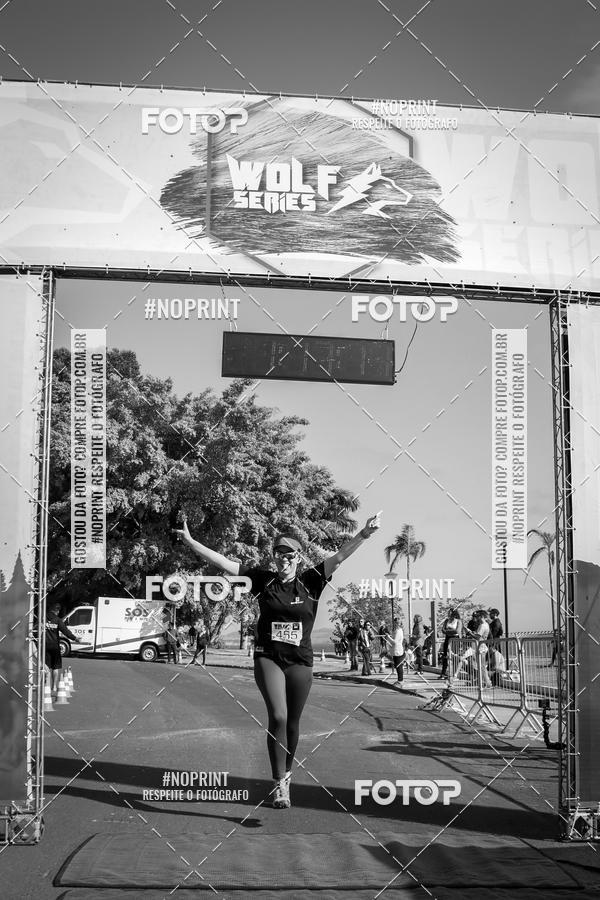 Buy your photos of the eventWolf Series - Botucatu on Fotop