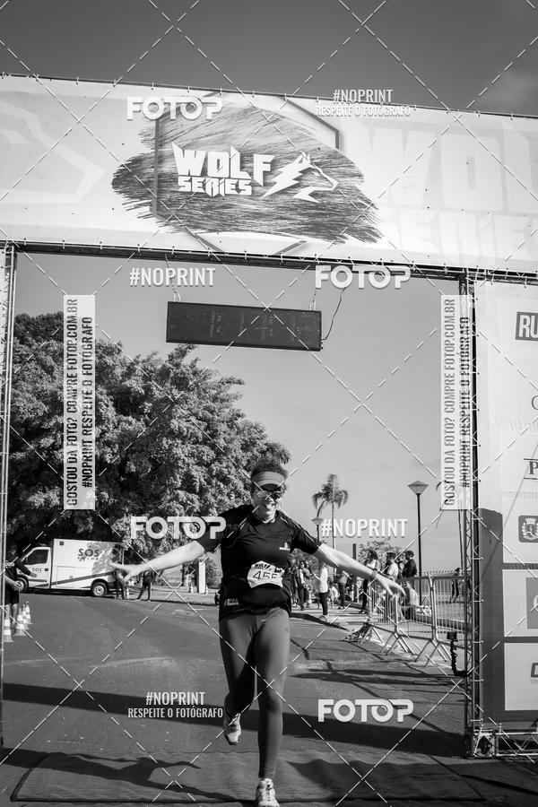 Buy your photos of the eventWolf Series - Botucatu on Fotop