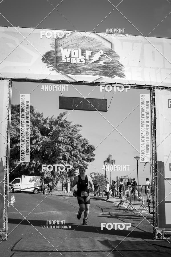 Buy your photos of the eventWolf Series - Botucatu on Fotop