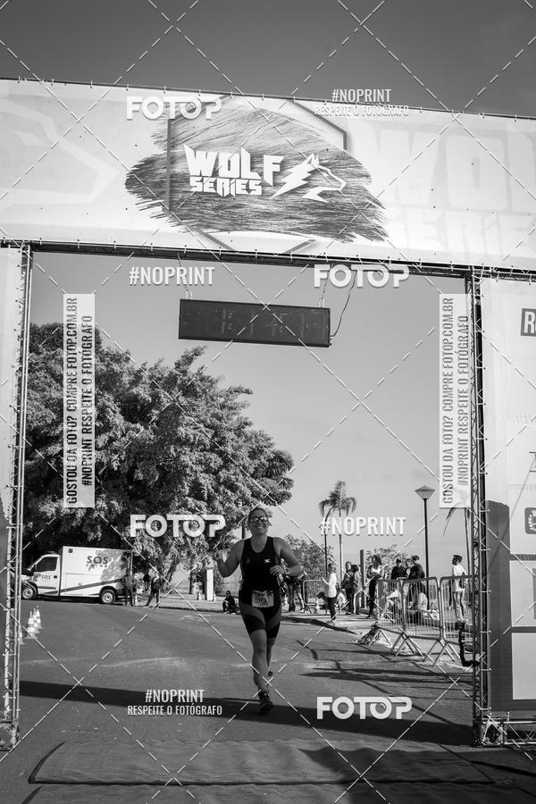 Buy your photos of the eventWolf Series - Botucatu on Fotop