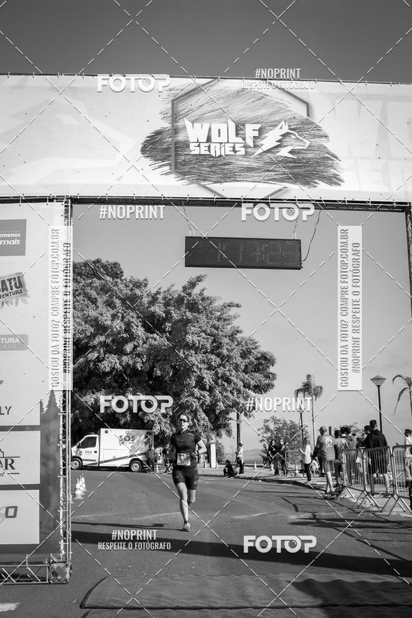 Buy your photos of the eventWolf Series - Botucatu on Fotop