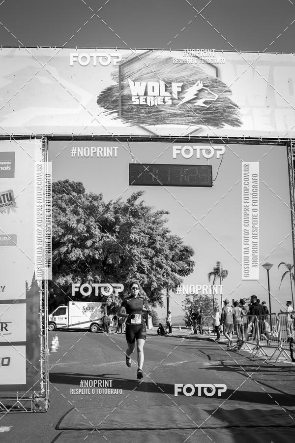 Buy your photos of the eventWolf Series - Botucatu on Fotop