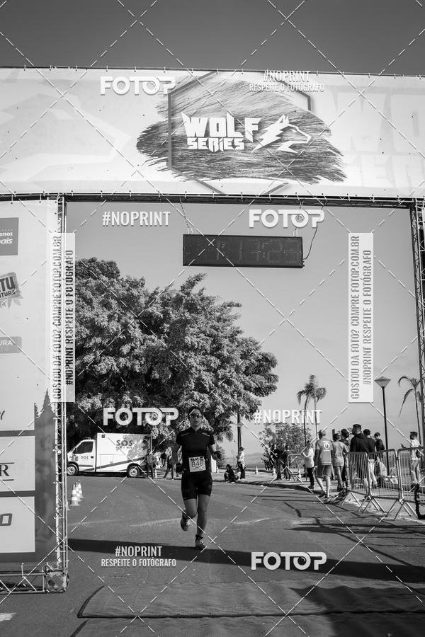 Buy your photos of the eventWolf Series - Botucatu on Fotop