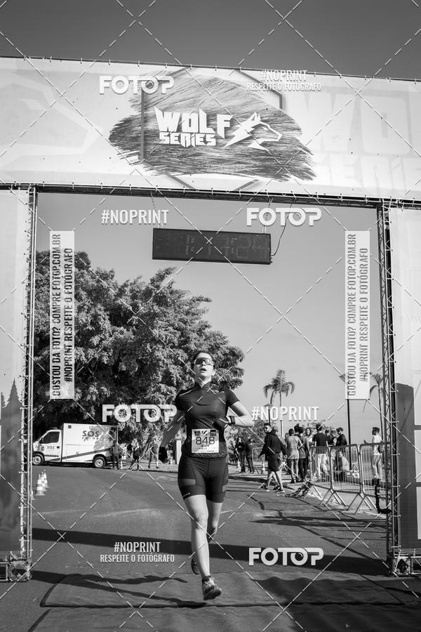 Buy your photos of the eventWolf Series - Botucatu on Fotop