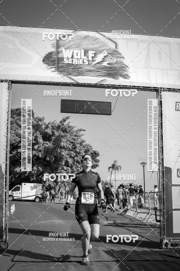 Buy your photos of the eventWolf Series - Botucatu on Fotop