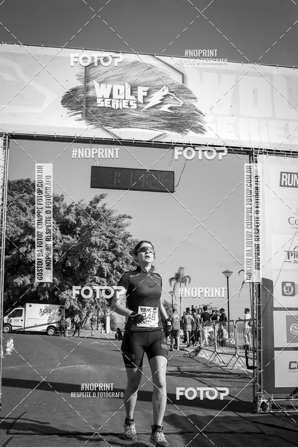 Buy your photos of the eventWolf Series - Botucatu on Fotop