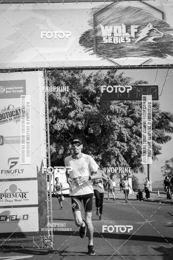 Buy your photos of the eventWolf Series - Botucatu on Fotop