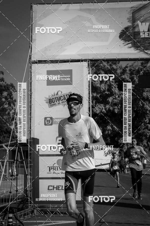 Buy your photos of the eventWolf Series - Botucatu on Fotop