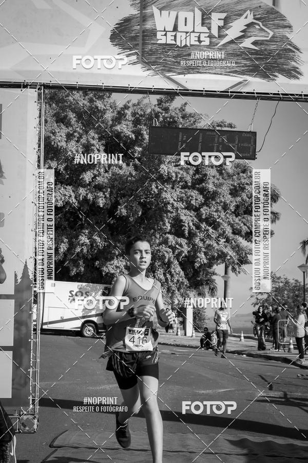 Buy your photos of the eventWolf Series - Botucatu on Fotop