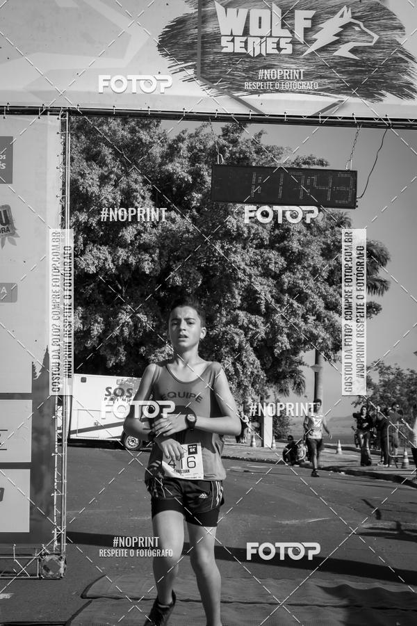 Buy your photos of the eventWolf Series - Botucatu on Fotop