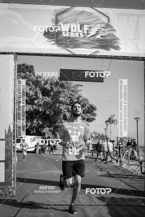 Buy your photos of the eventWolf Series - Botucatu on Fotop