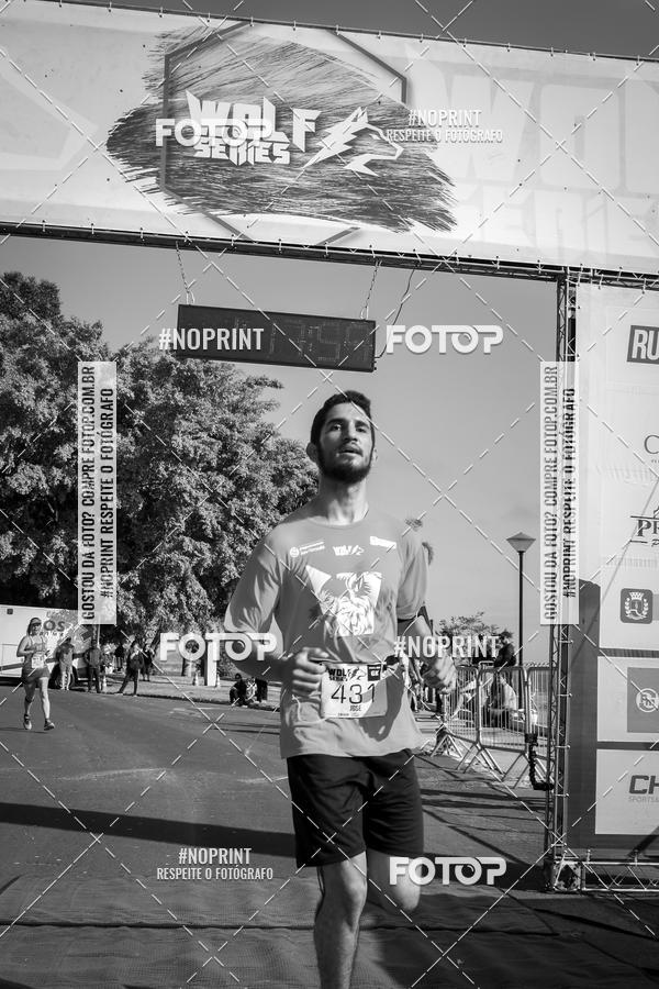 Buy your photos of the eventWolf Series - Botucatu on Fotop