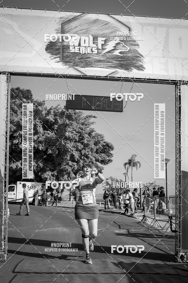 Buy your photos of the eventWolf Series - Botucatu on Fotop