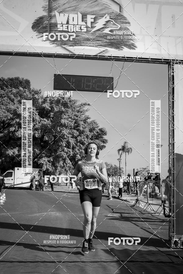 Buy your photos of the eventWolf Series - Botucatu on Fotop