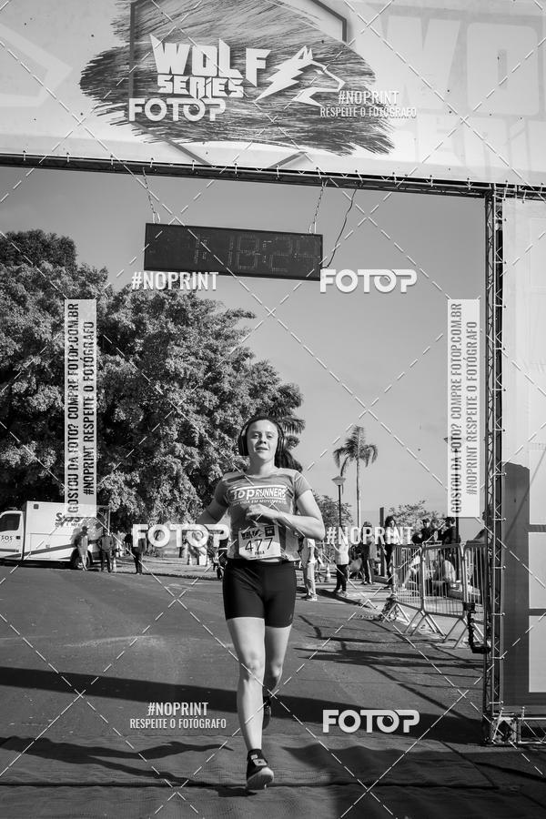 Buy your photos of the eventWolf Series - Botucatu on Fotop