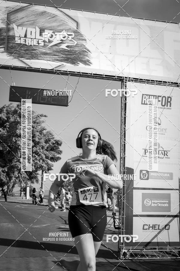 Buy your photos of the eventWolf Series - Botucatu on Fotop