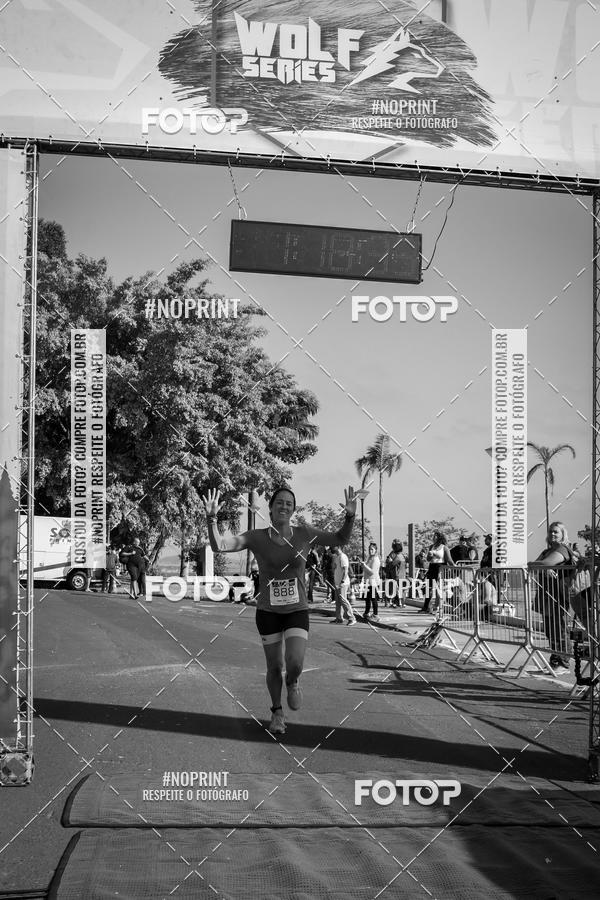 Buy your photos of the eventWolf Series - Botucatu on Fotop