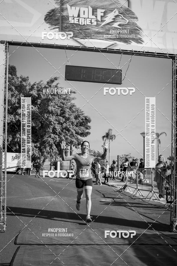 Buy your photos of the eventWolf Series - Botucatu on Fotop