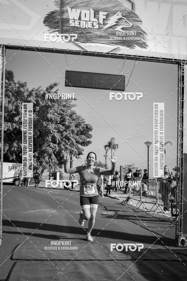 Buy your photos of the eventWolf Series - Botucatu on Fotop