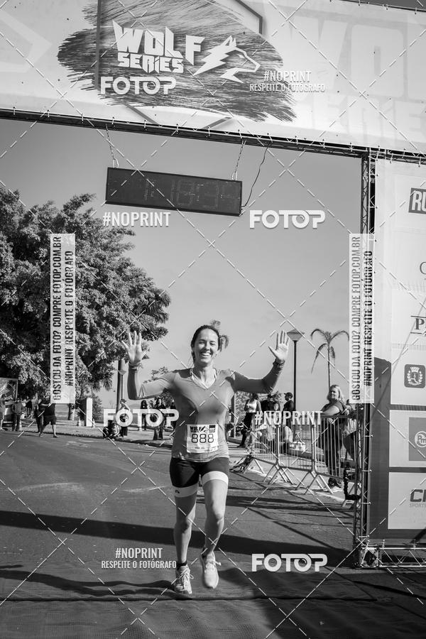 Buy your photos of the eventWolf Series - Botucatu on Fotop