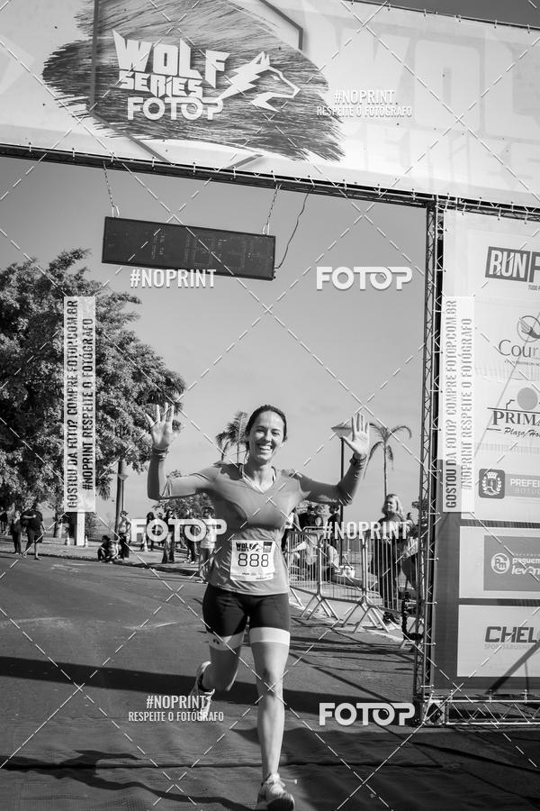 Buy your photos of the eventWolf Series - Botucatu on Fotop