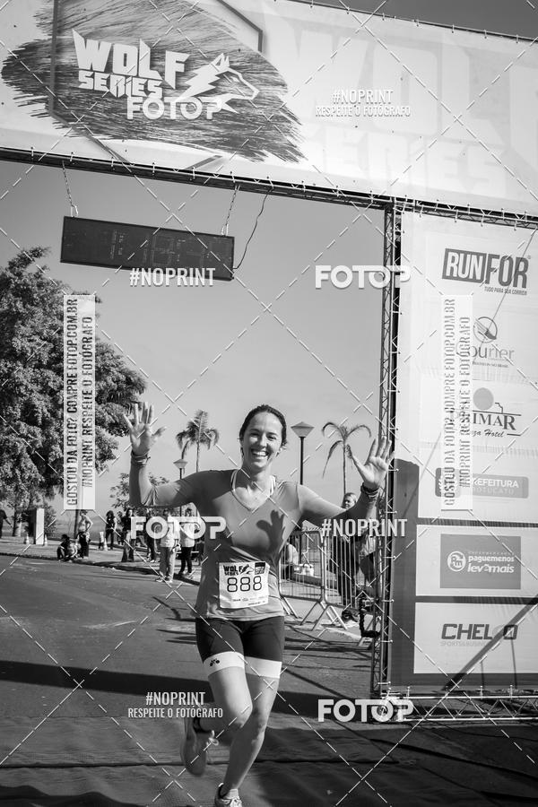 Buy your photos of the eventWolf Series - Botucatu on Fotop