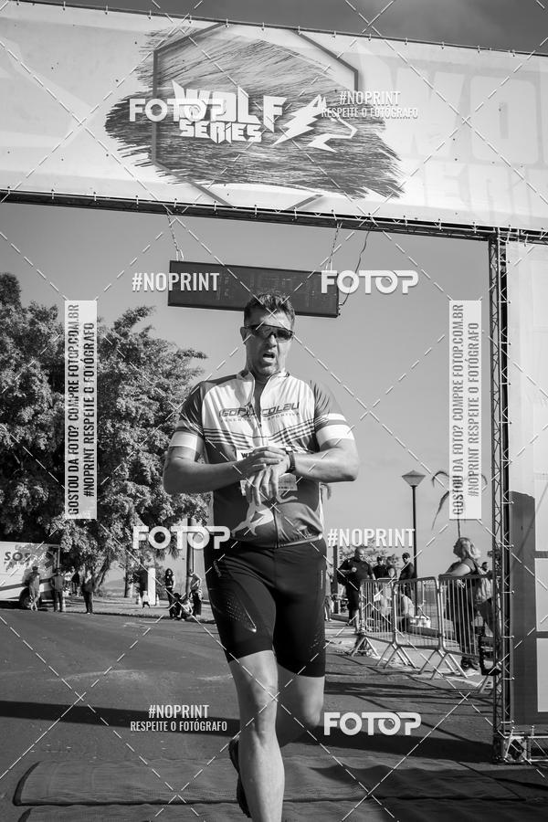 Buy your photos of the eventWolf Series - Botucatu on Fotop