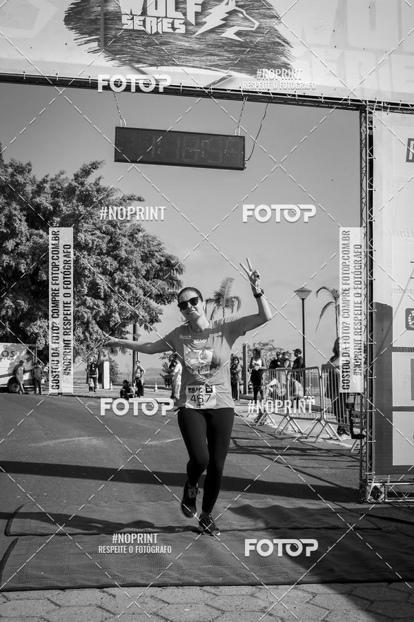 Buy your photos of the eventWolf Series - Botucatu on Fotop